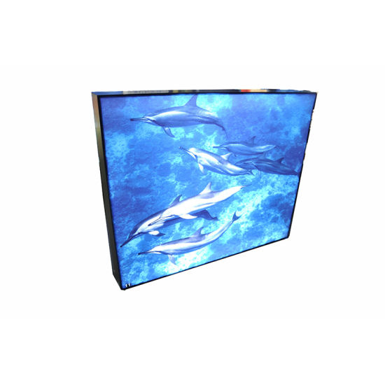 Ultra Slim 19mm Thickness Waterproof Advertising Snap Frame LED Light Box