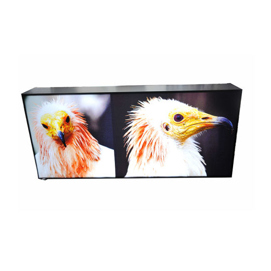 Ultra Slim 19mm Thickness Waterproof Advertising Snap Frame LED Light Box